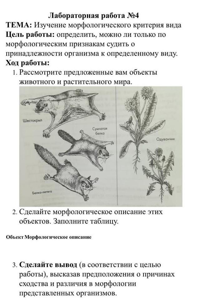 Опишите по схеме приведенной на уроке экологическую нишу бобра обыкновенного или сосны обыкновенной