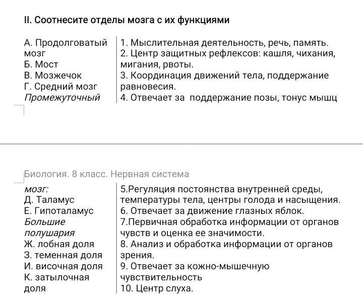 Биология 8 класс мозг тест. Voxtel rx600. Как снизить кортизол в организме. Кортизон гормон понижен. Как снизить гормон кортизол.