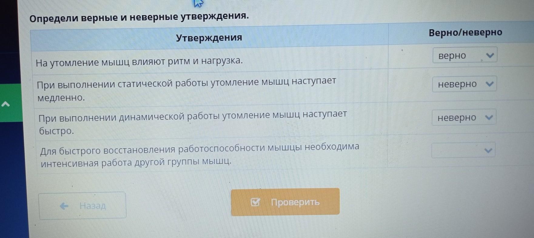 Утомление при динамической работе лабораторная работа. Определите верные и неверные утверждения. Лабораторная работа по биологии утомление при статической работе. Утомление при статической работе лабораторная работа 8 класс. Практическая работа «утомление при статической работе мышц».