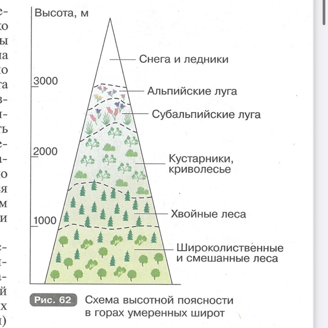 Природные зоны широтная зональность и высотная поясность. Высотная поясность. Разнообразие природных комплексов. Зональность примеры.