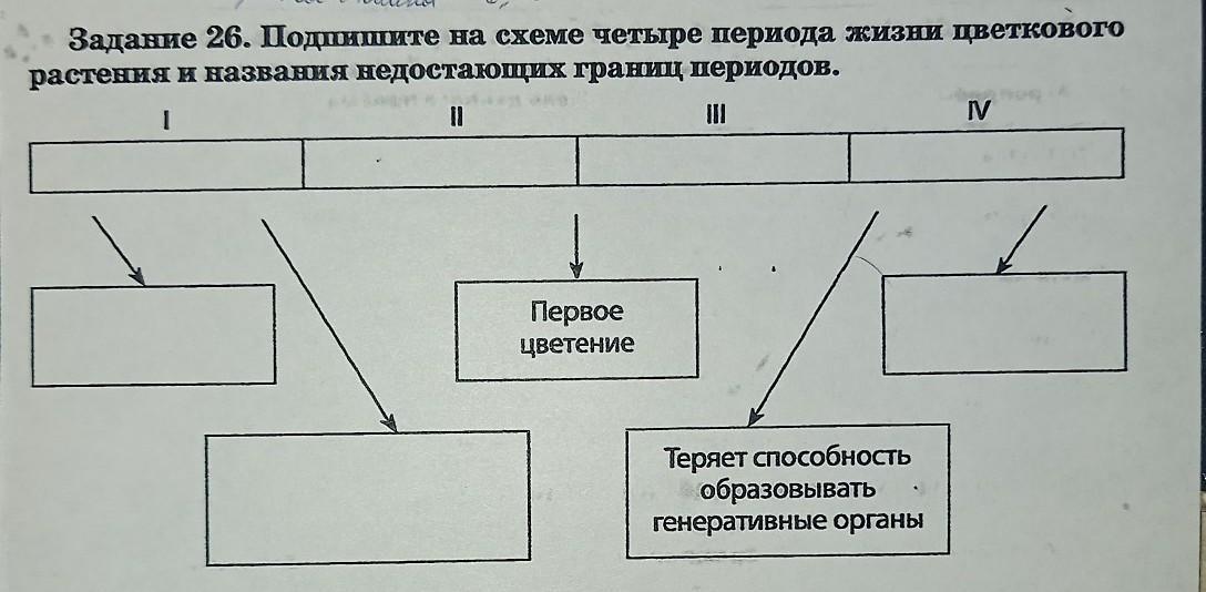 Четыре схема