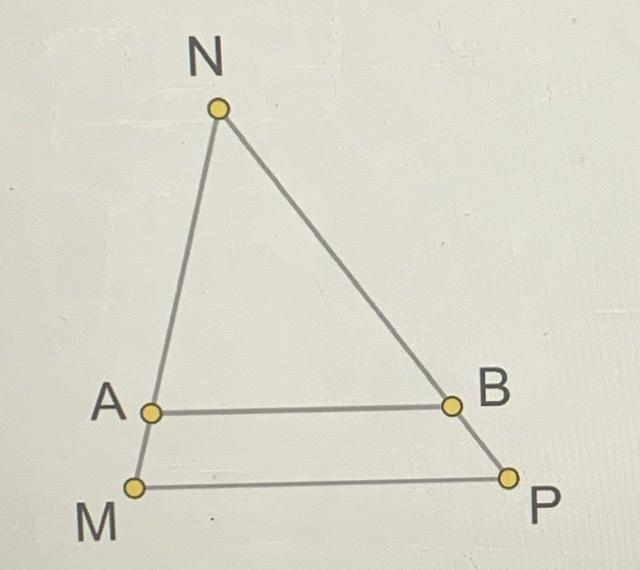 Bi mn. Точка а лежит на стороне мн треугольника МНП причем на ам4. Схема 6н треугольник. Мн в треугольнике. На стороне NP треугольника NTP отмечена точка.