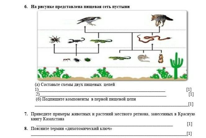 Выберите 3 правильных ответа биология 5 класс. Би2390101 ответы биология.