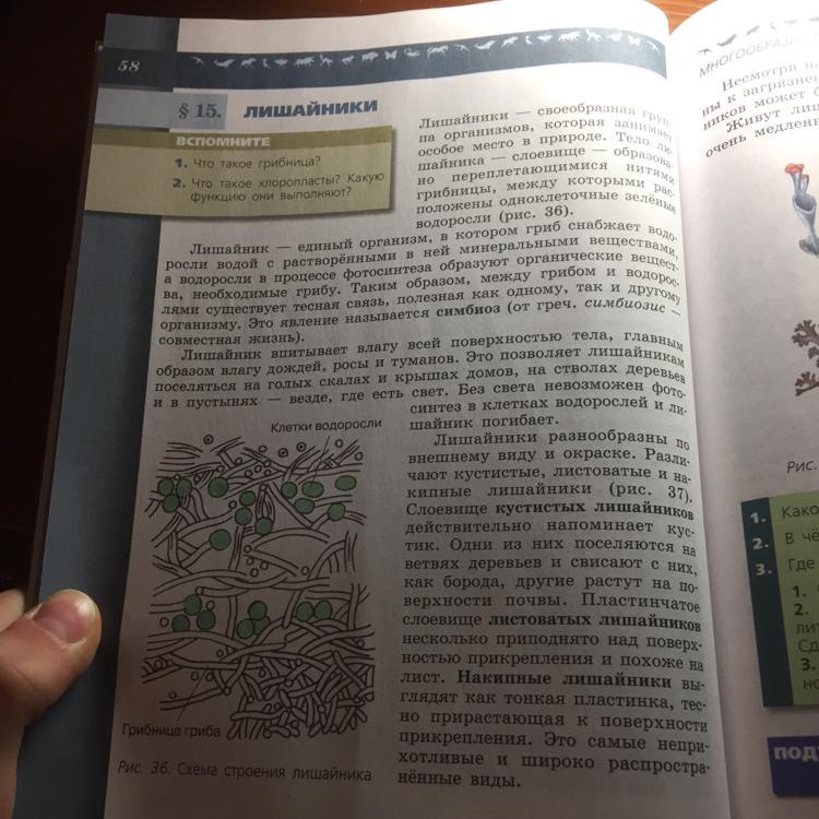 Краткое содержание биологии. Биология 5 класс параграф 5. Биология 5 класс краткое содержание. Конспект по биологии 5 класс. Краткий пересказ по биологии.