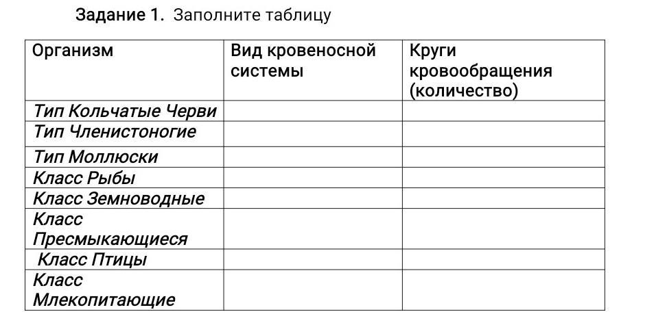 Моллюски тип кровеносной системы таблица. Кольчатые черви Тип кровеносной системы таблица. Тип кольчатые черви сердце и Тип кровеносной системы таблица. Кольчатые черви сердце и Тип кровеносной системы таблица. Животное сердце Тип кровеносной системы Тип черви.