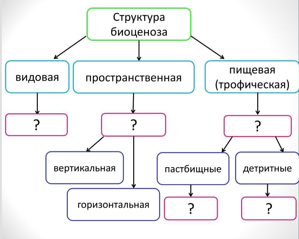 Схема речь биология