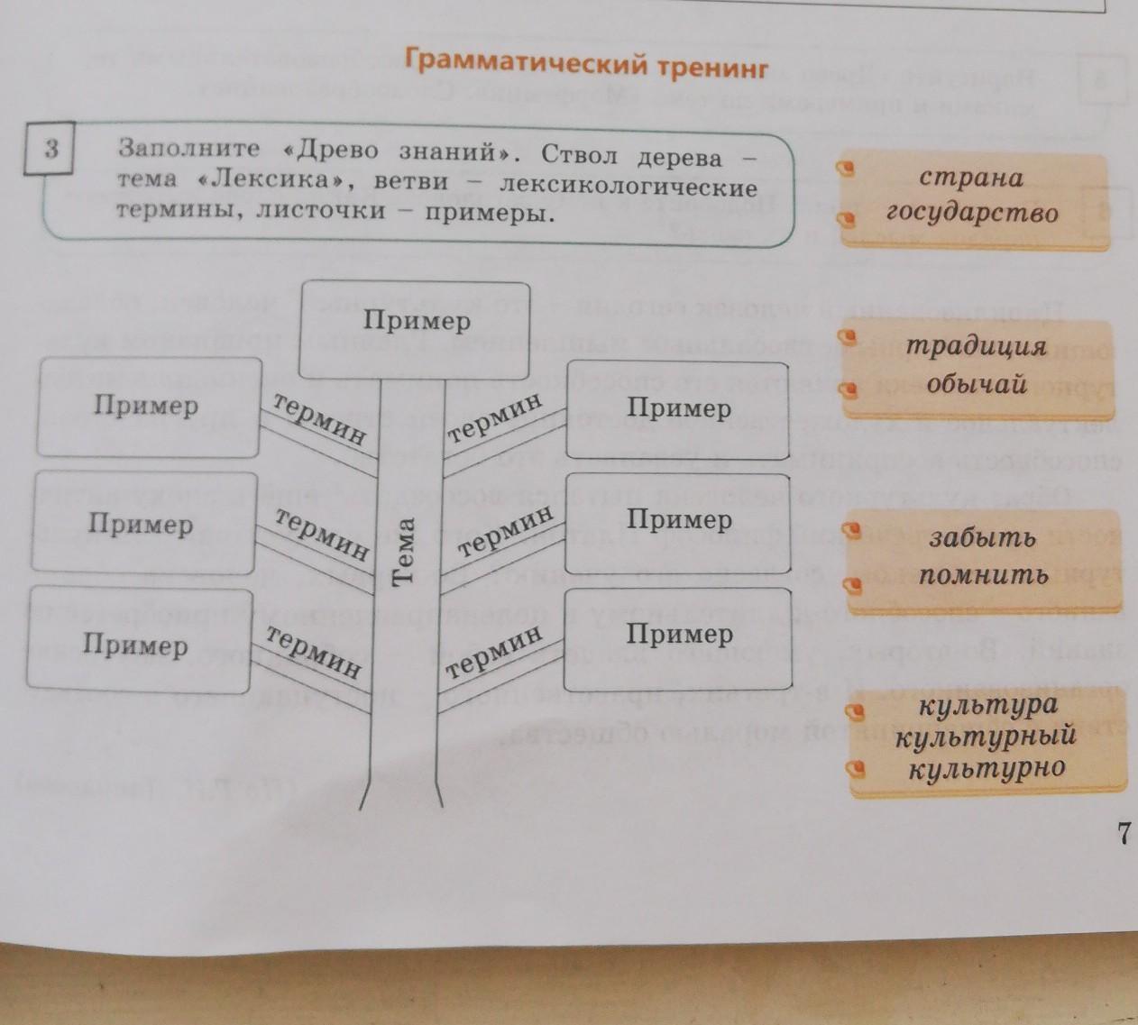 Грамматическое дерево. Ветви лексикологии. Лексика деревья. Древо знаний пример. Лексика примеры дерево.