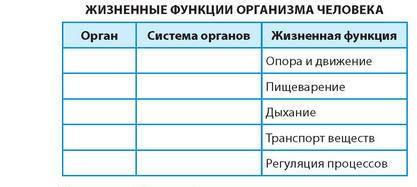 Жизненные функции. Биологические системы таблица.