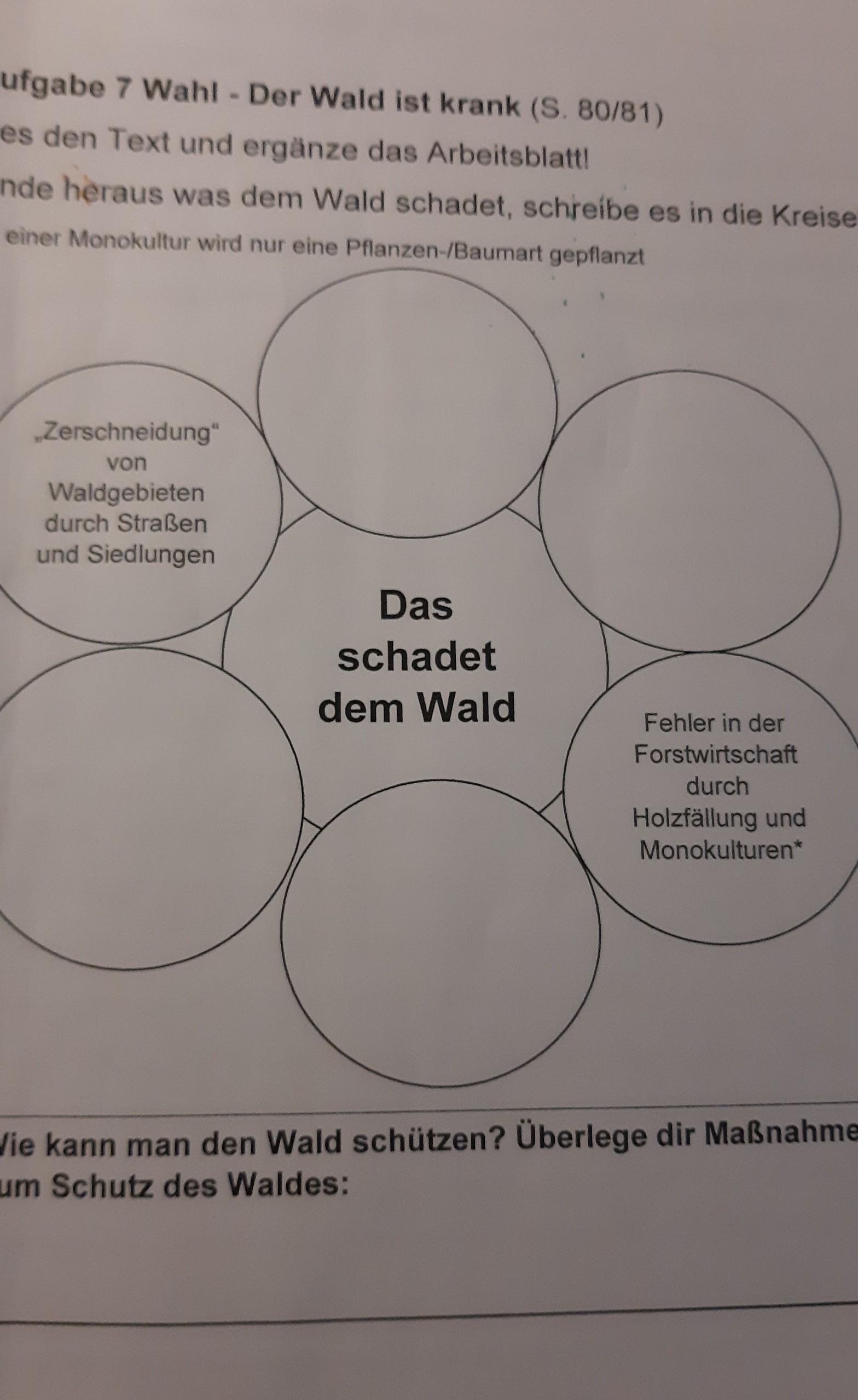 Lies den text. Lies den text und ergänze die Sätze 5 класс. Номер 10 Lies den text und ergänze die Präpositionen гдз. Номер 10 Lies den text und ergänze die Präpositionen 8 класс. Немецкий язык 8 класс Fitness und Sport 5 Lies den text.