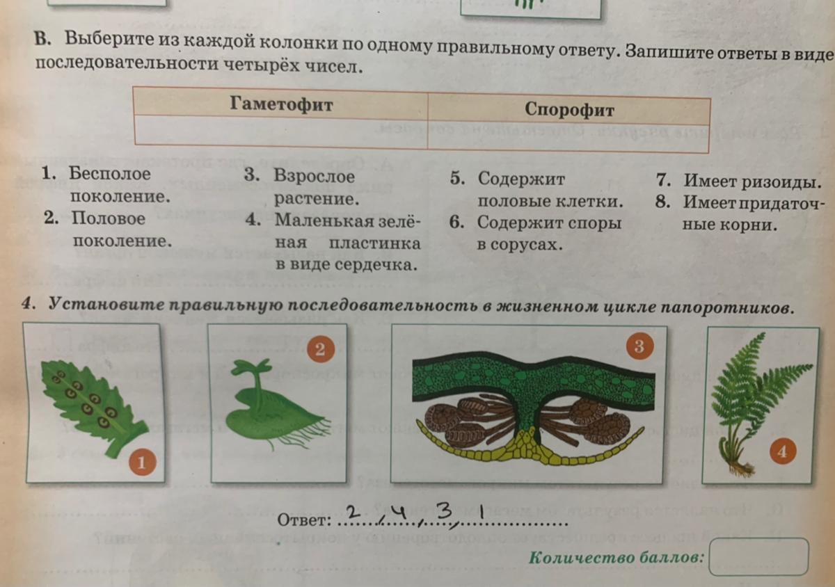 Ответ укажите в виде последовательности. Ответ запиши в виде последовательности цифр.. Отметь зеленым один правильный ответ для каждого. Отметьте зеленым 1 правильный ответ. Отметь зеленым один правильный ответ для каждого вопроса ответ.