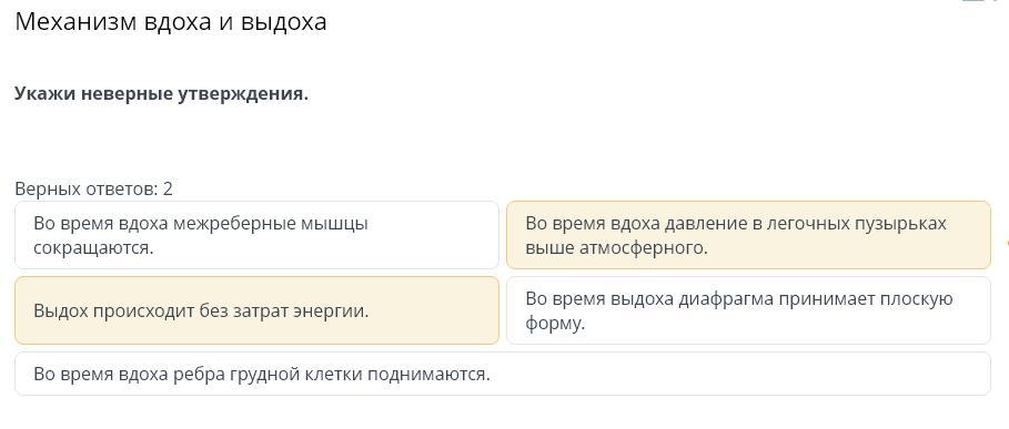 Неверно указан. Некорректно указанным. Укажите верные утверждения ответ в педкомпус. Верный ответ и неверный ответ.