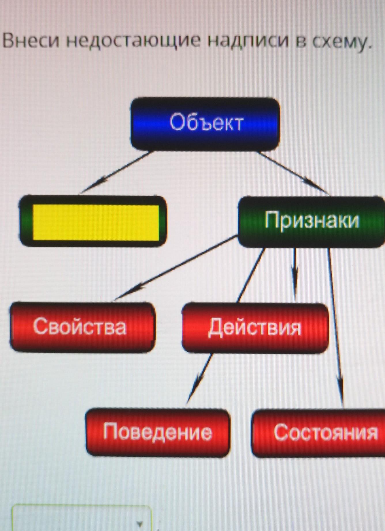 Внеси недостающие надписи в схему объект