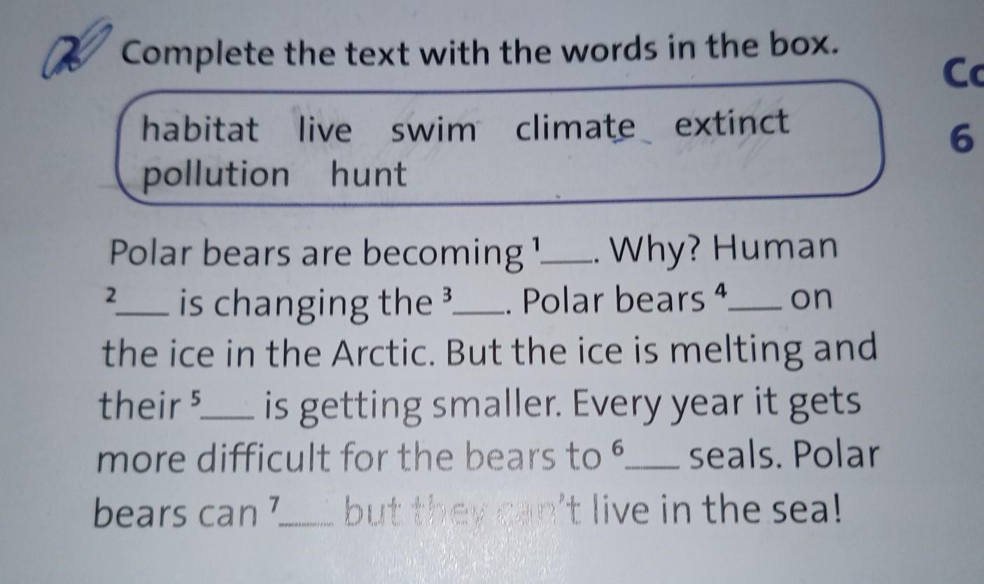 Complete the text. Complete the text about car recalls with Words from the Box below ответы. Label the objects with the Words in the Box ответы. Diagnostic Test. Complete the text with the Words from the Box 5 класс. Complete this Family Tree with the underlined Words in the Box.