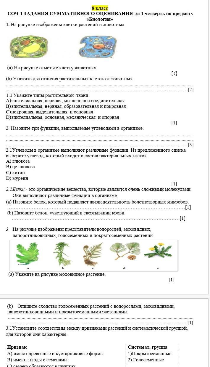 Суммативное оценивание за 1 четверть. Суммативное оценивание растения по биологии. Суммативное оценивание растения по биологии 8 класс. 4 По биологии в четверти. 1 Клетка основная единица жизни. Суммативное оценивание.