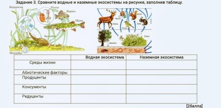 Изучите фрагмент экосистемы водоема представленный на рисунке и выполните задания