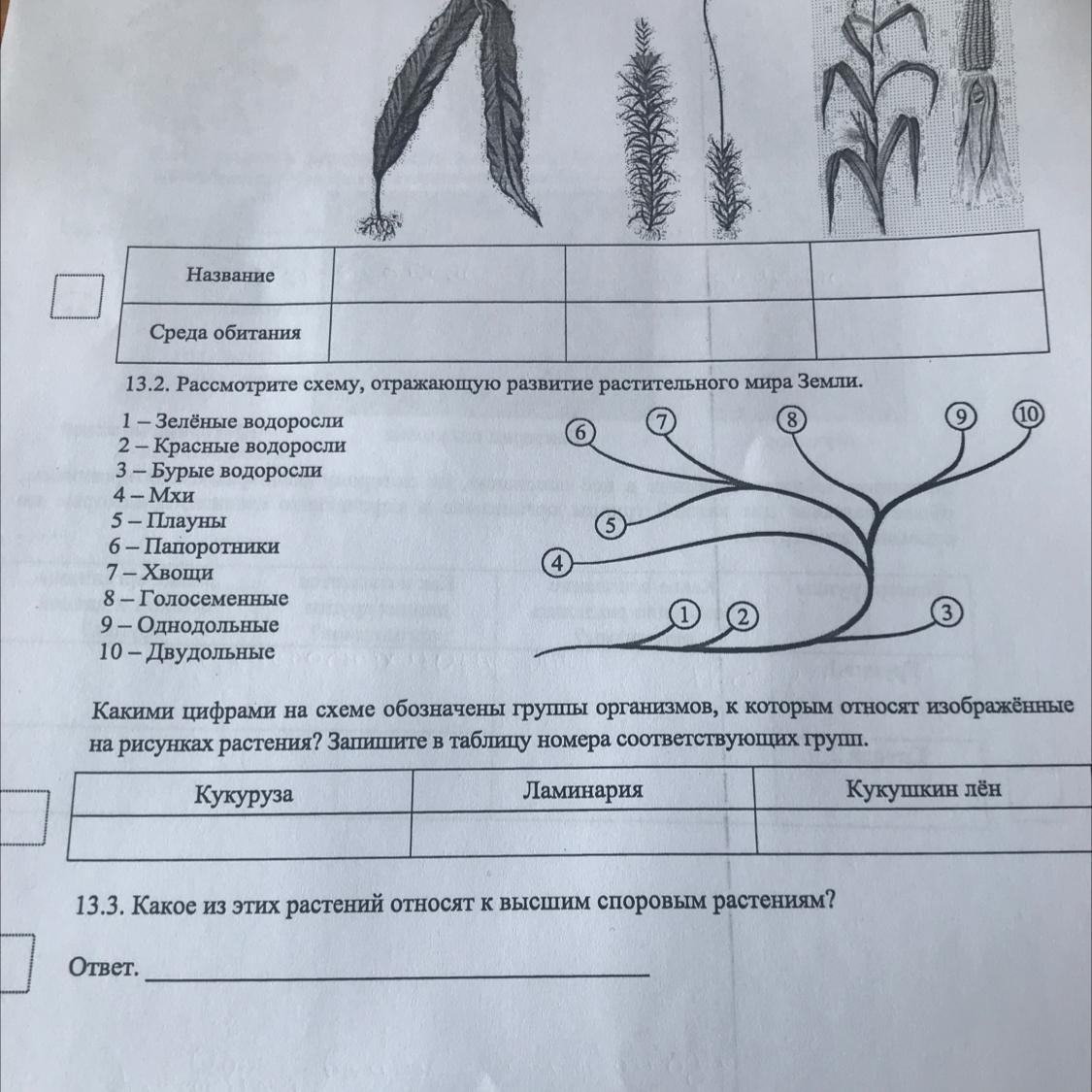 Схема развития растительного мира 7 класс земли