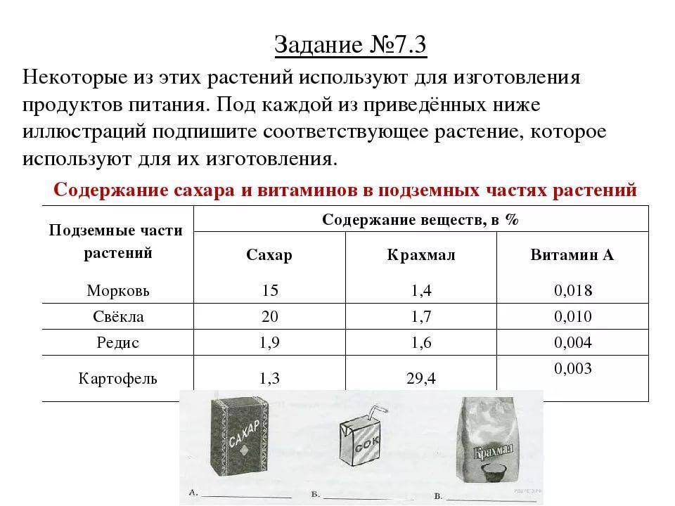 Впр по биологии 5 класс. ВПР по биологии 5 класс задания. ВПР 5 класс биология задания. Задания по ВПР по биологии 5 Клаас. Биология 5 класс задание ВПР по биологии.