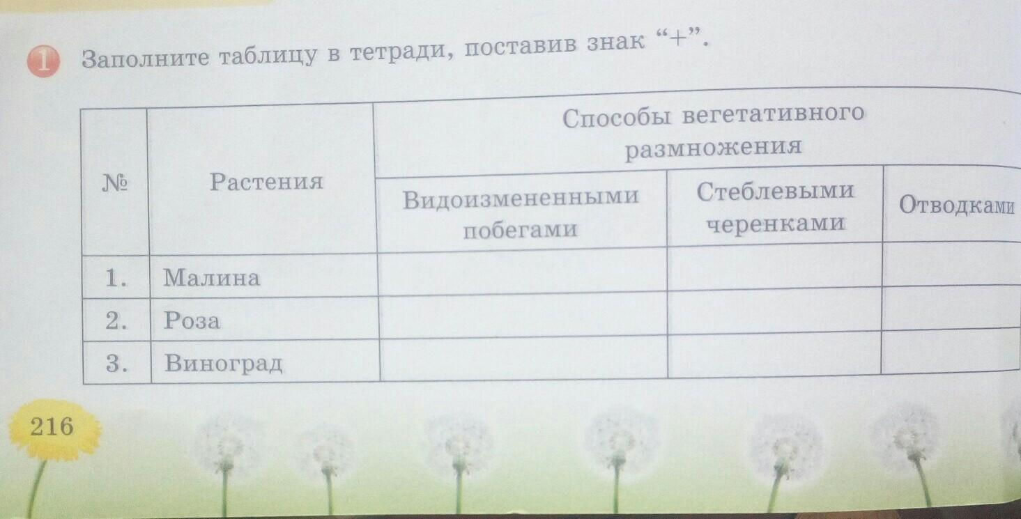 Перенеси в тетрадь и заполни таблицу