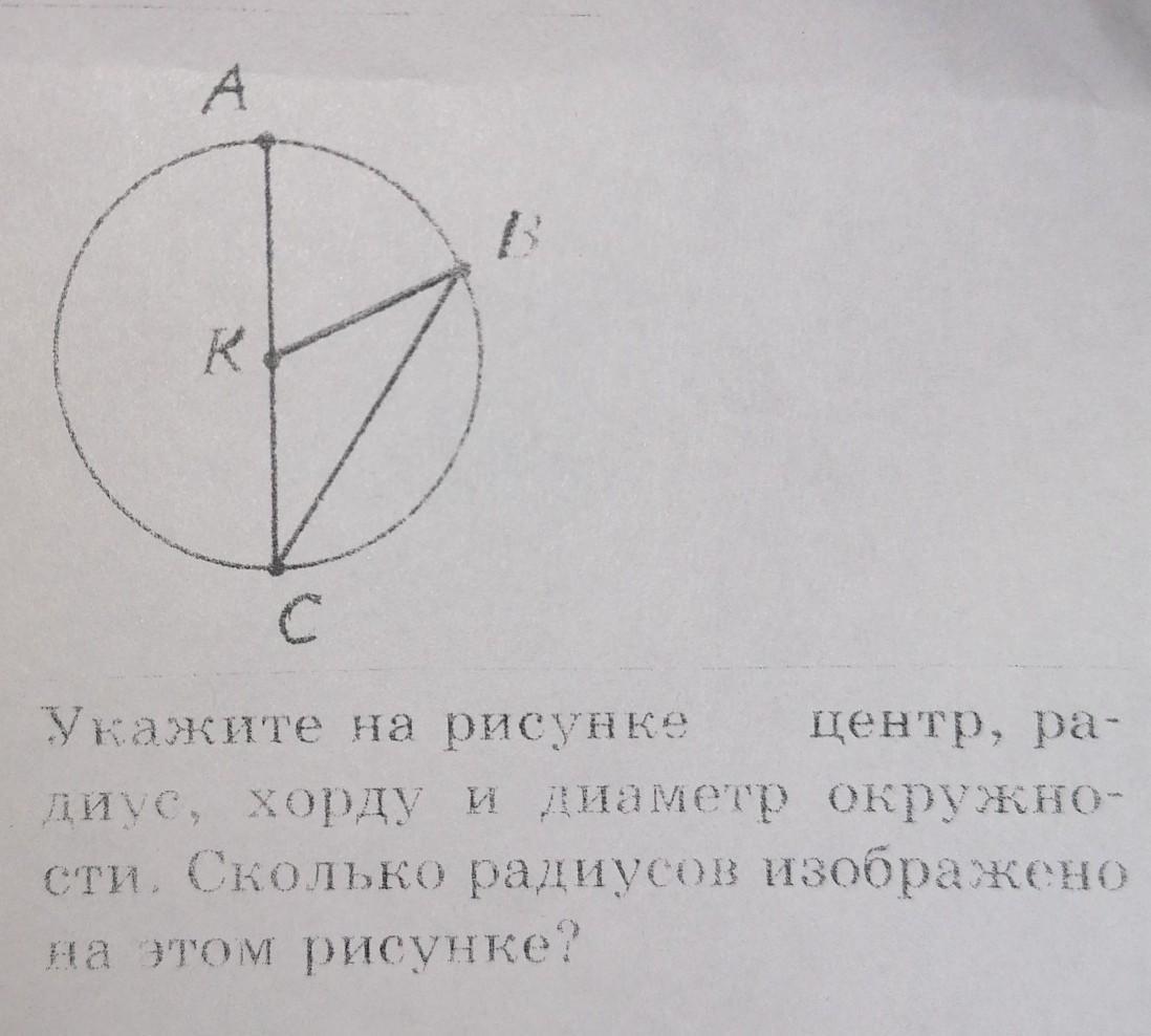 Сколько диаметров окружности изображено на рисунке