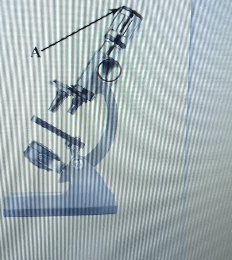 Какая часть цифрового микроскопа обозначена буквой а. Детали микроскопа. Детали цифрового микроскопа. Цифровой микроскоп с подписями деталей. Детали микроскопа 5.