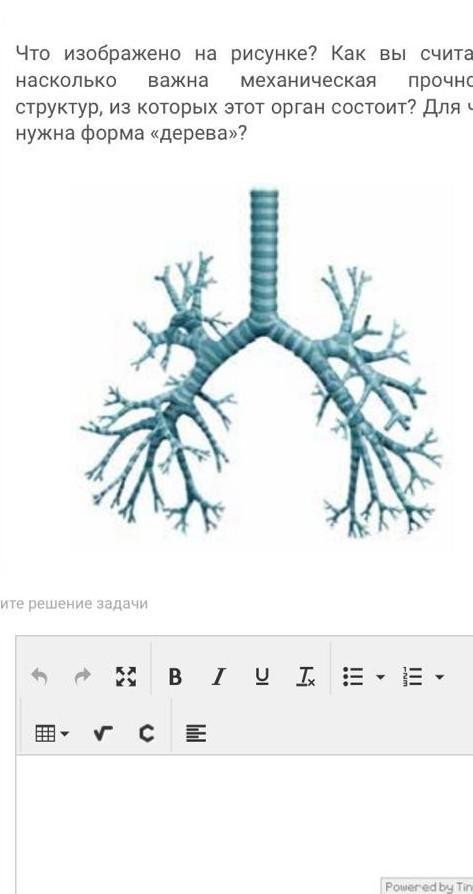 Что изображено на 10. Что изображено на рисунке?. Что. Изолбражен нарисунке. Изобрази что изображено на рисунке. Что изображено на иллюстрации.