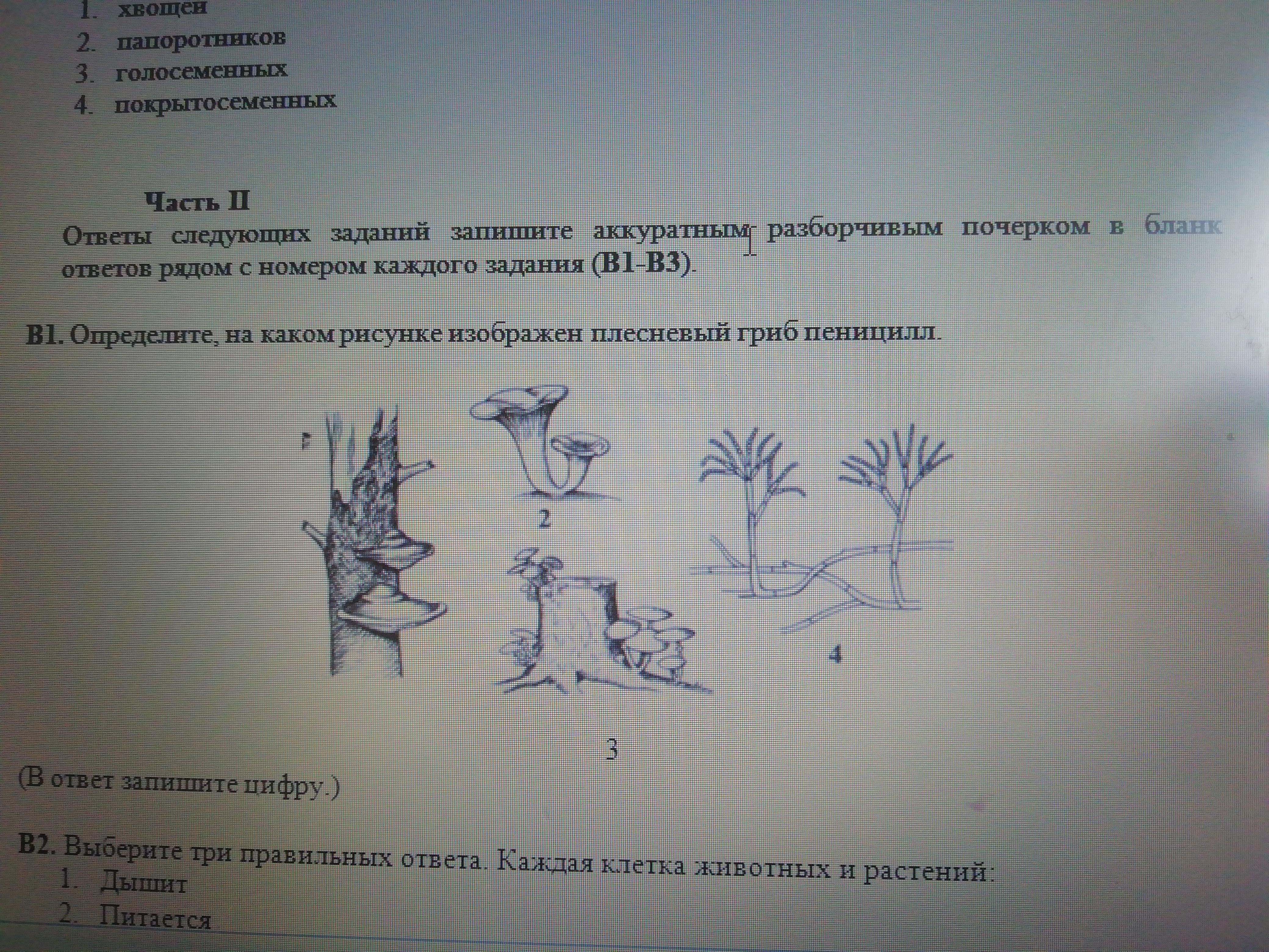 Задания биология заключительный этап. Задания открытого типа по биологии. Биология задания с ответами. Задачи с графиками по биологии. Интересные задания по биологии.