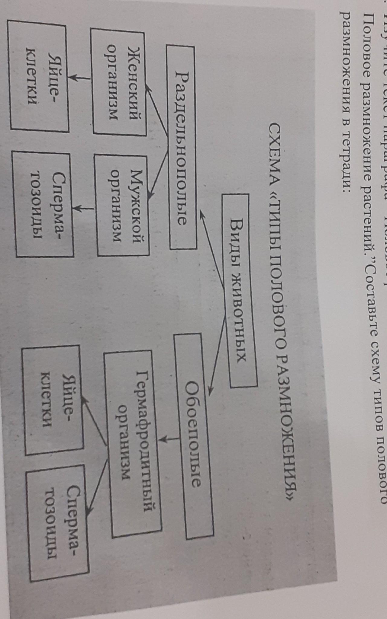 Схема виды культурных ландшафтов география