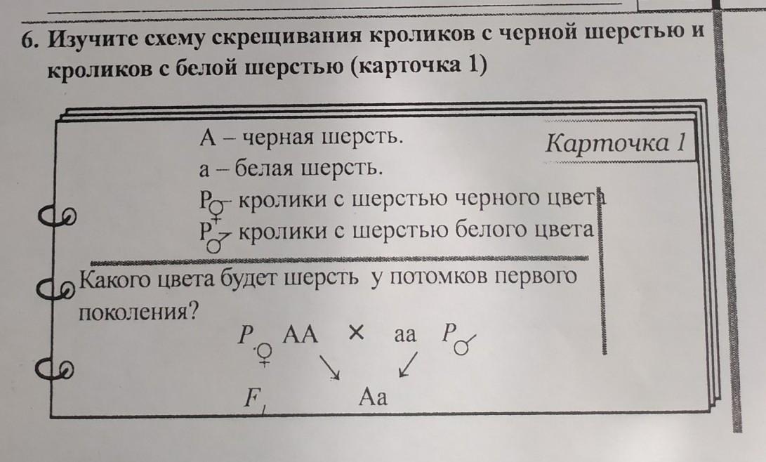 Скрещивание прямых задачи. Схема интервала скрещения. Типовые схемы скрещивания для профиля 3. Схема скрещивания мул.