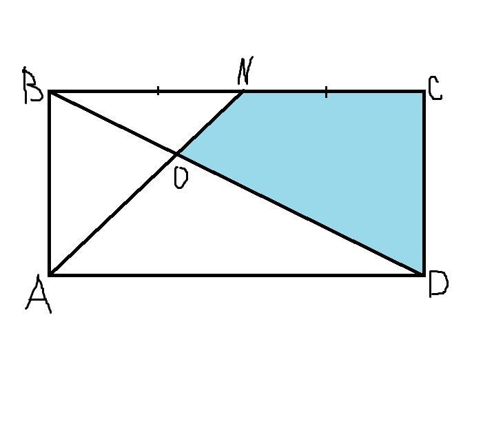 Abcd прямоугольник отрезок. Прямоугольник ABCD. Середина прямоугольника. Диагональ bd. Середина диагонали прямоугольника.