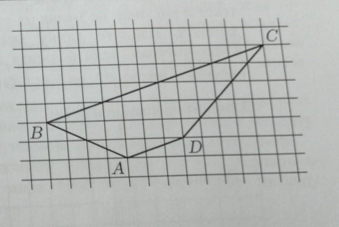 Раз основание. Высота трапеции на клетчатой бумаге. На клетчатой бумаге с размером клетки 1 1 изображена трапеция ABCD. На клетчатой бумаге с клетками 1х1 изображена трапеция ABCD. На клетчатой бумаге с размером клетки 1 на 1 изображена трапеция абцд.