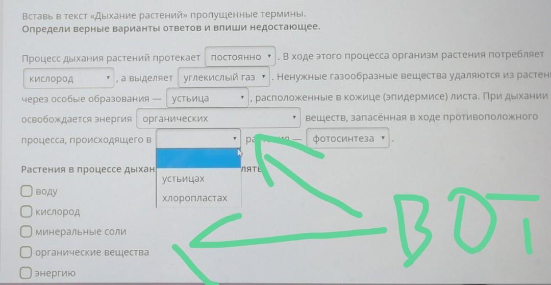 Выберите из предложенного перечня 2 верных. Вставь в текст дыхание растений пропущенные термины. Текст особенности питания растений пропущенные термины. Вставьте в текст особенности питания растений пропущенные термины. Вставь в текст особенности питания растений пропущенные термины.