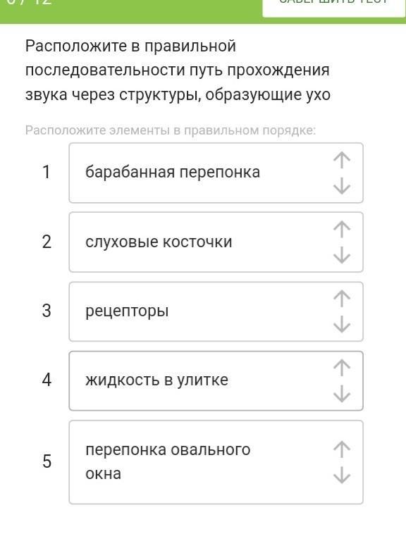 Расположите в правильной последовательности этапы. Расположите элементы списка в правильном порядке. Расположите в правильной последовательности. Расставь в правильной последовательности этапы. Расположите в правильной последовательности этапы обратной связи.