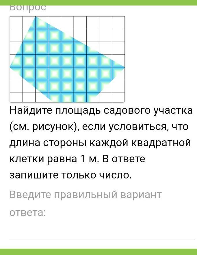 Сторона каждой клетки равна 1 м. Площадь клетки равна 1 кв.см. Как найти площадь участка по клеткам. Найди площади садовых участков.