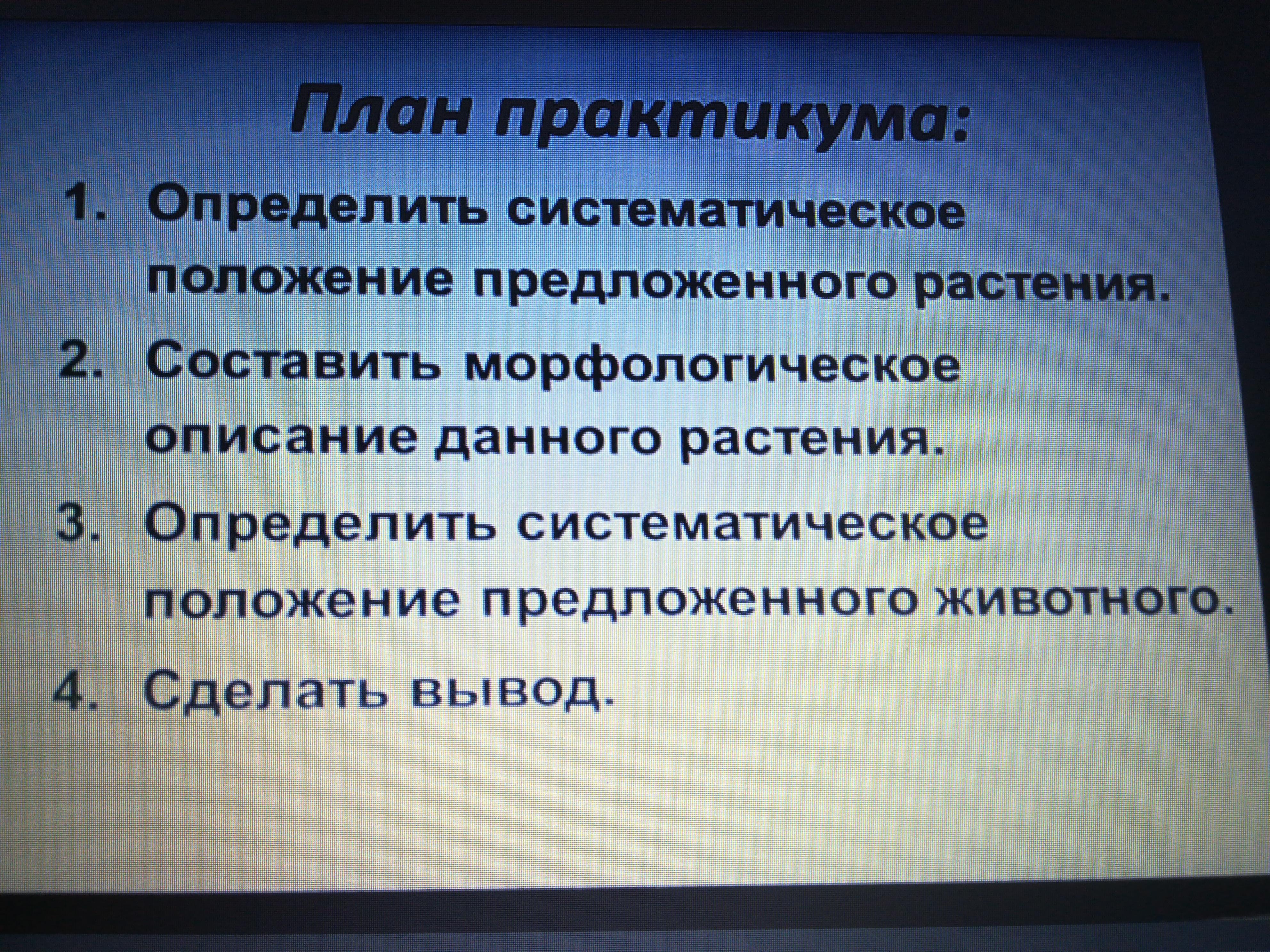 Предлагать положение. План морфологического описания животных. Определить систематическое положение предложенного растения. Морфологическое описание животного план. План практикума.