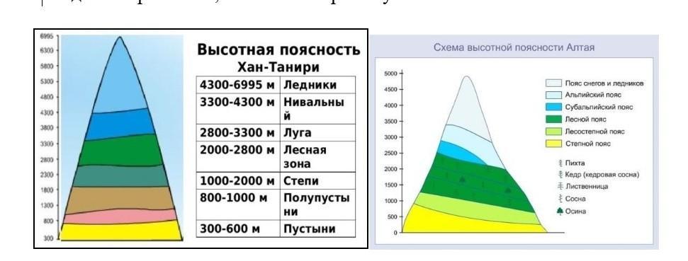 Высотная поясность алтая презентация