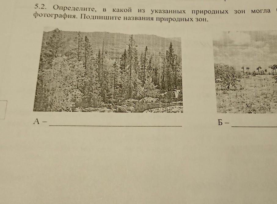 В какой из указанных природных. Определите в какой из указанных природных зон. Определите в какой из указанных природных зон могла быть. Определите в какой из указанных природных зон могла быть сделана. В какой из указанных природных зон могли быть сделаны.