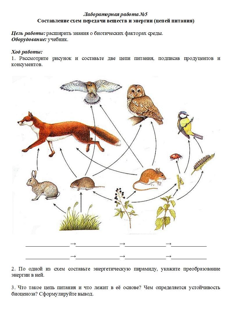 По цепям питания передается