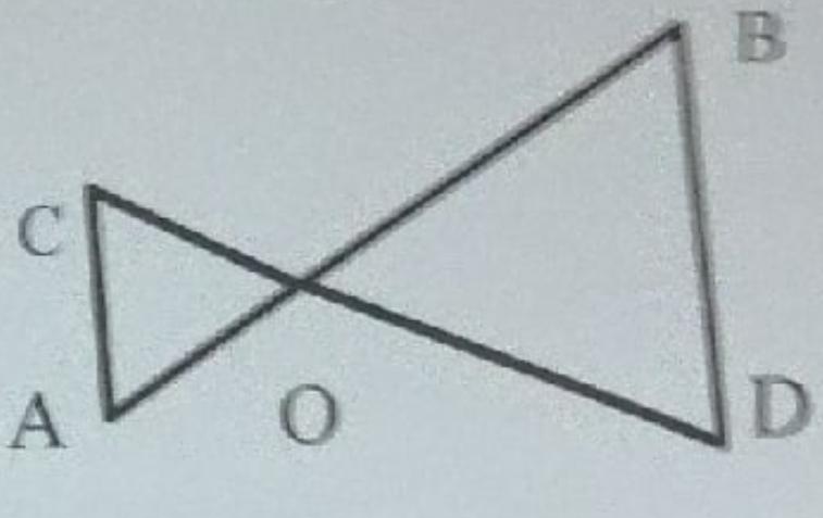 Дано ао 15. Дано АО=6,8 см. Дано АО 6 8 см со 8 4. АО 6 8 см со 8.4 ов 5 1 контрольная. Дано АО 6,8 со 8,4 ов5,,1 од6,3.