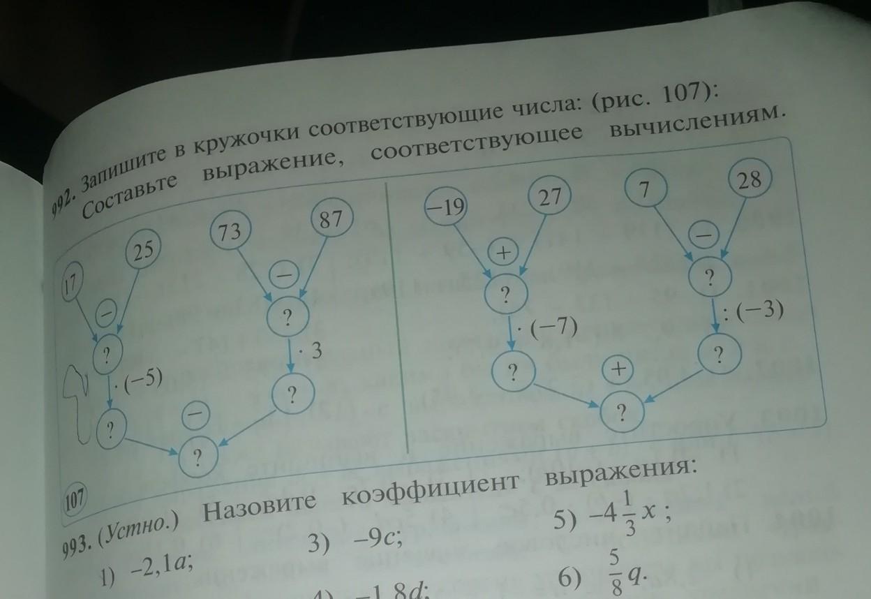 Определите какой цифрой на рисунке