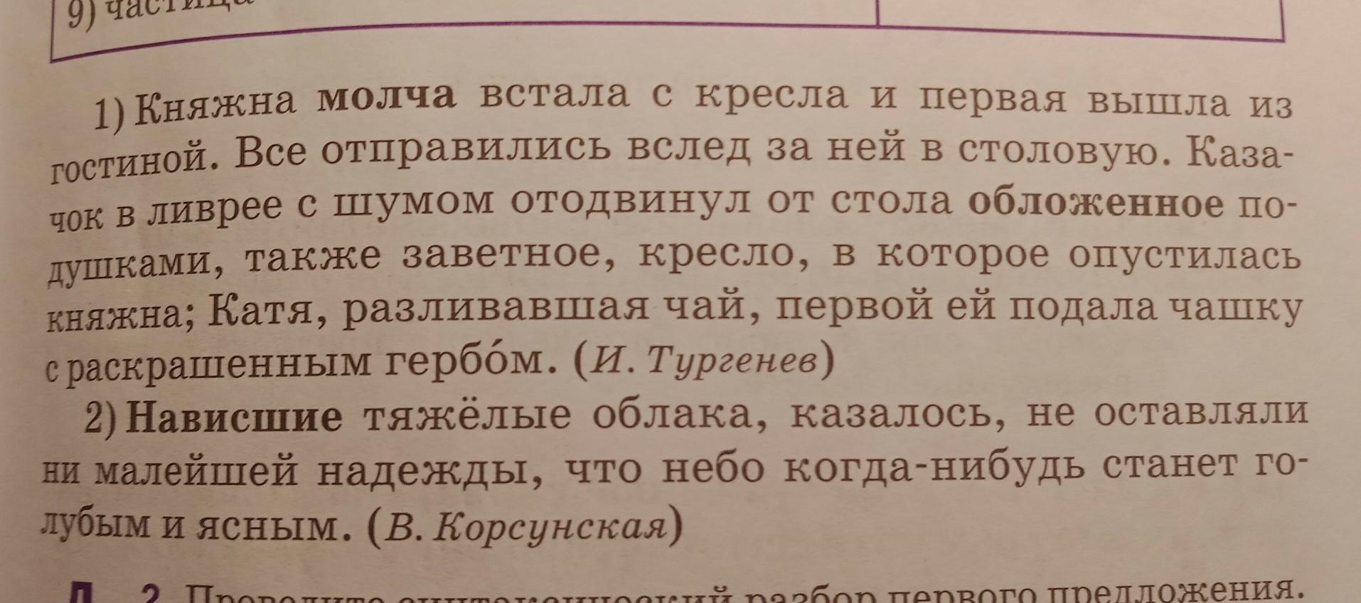 Княжна молча встала с кресла и первая вышла из гостиной