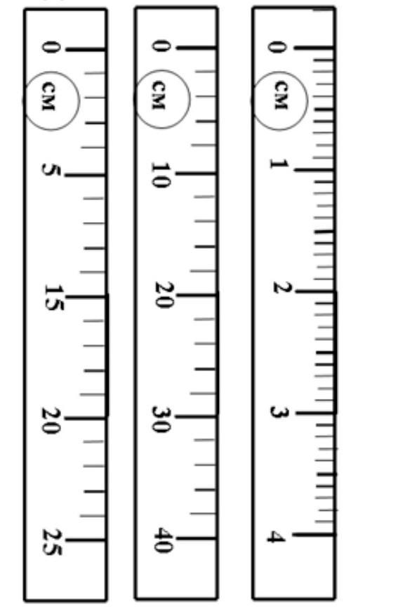8 линеек. Линейка с делениями. Определите цену деления линейки. Линейка без делений. Линия с делениями.