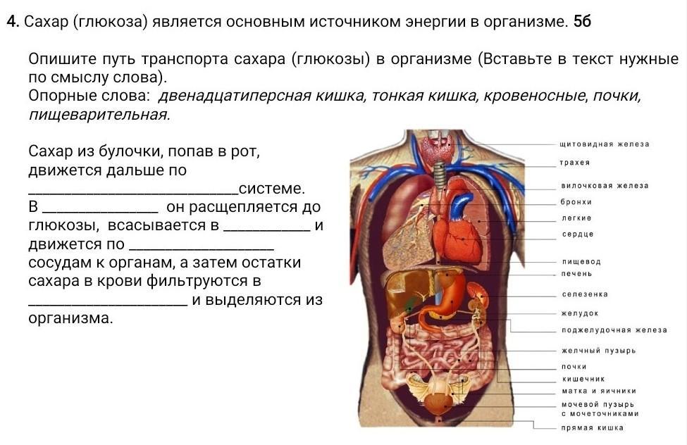 В схемах электрических расстояние между соседними параллельными линиями связи должно быть