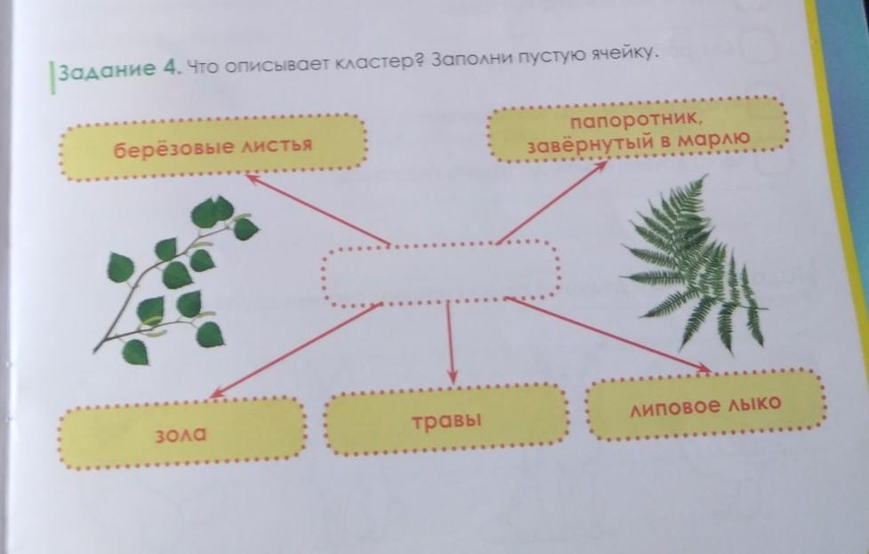 Заполни кластер скопление однотипных объектов вид схемы помогающий объединить или обобщить что либо