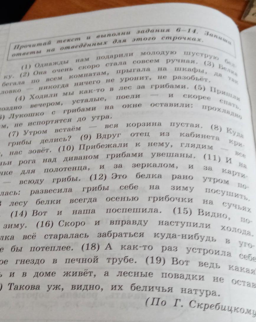 Вдоль самой границы заповедника мката в африке составьте и запишите план текста из трех пунктов