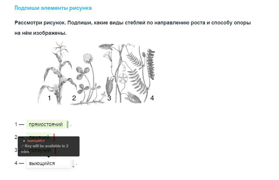 Рассмотрите рисунок 74 и укажите какие системы являются колебательными а какие нет