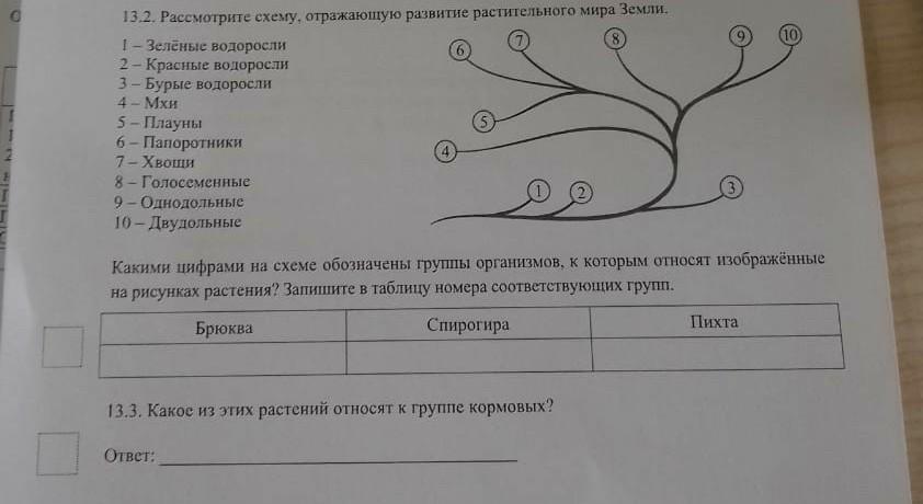 Рассмотрите рисунки какими цифрами обозначены продукты животного и растительного происхождения