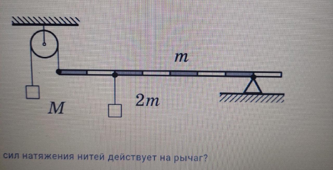 На рисунке изображена система состоящая из рычага и блока масса груза 100 г