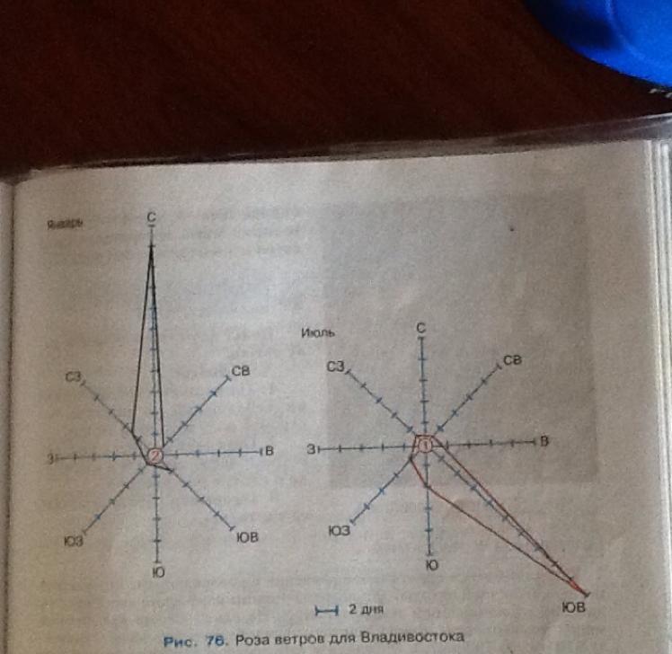 Сколько дней дует восточный ветер. Роза ветров Владивосток график. Гроза ветров владтвосток. Роза ветров география. Роза ветров города Владивостока.