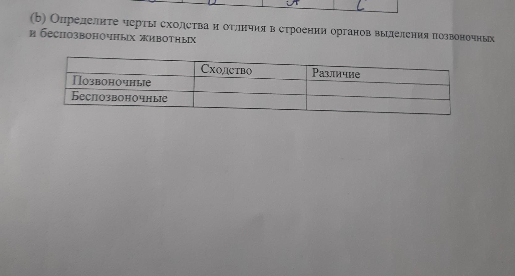 Выявить черты сходства. Рассмотрите позвонки Найдите черты сходства и различия. Определи черты сходства и отличия Испании и Эстонии.