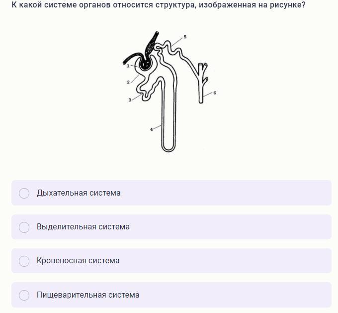 Вопросы что изображено на картинке